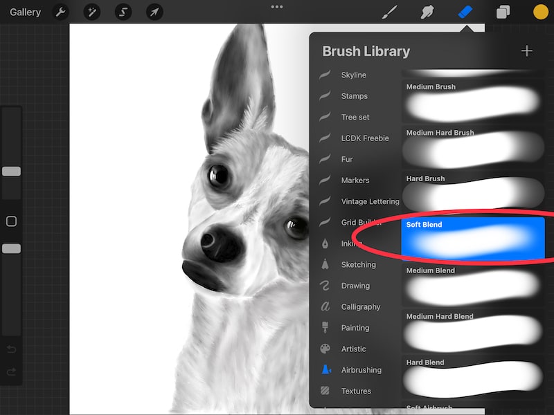 How to Erase on Procreate and Take Control of Your Art Adventures