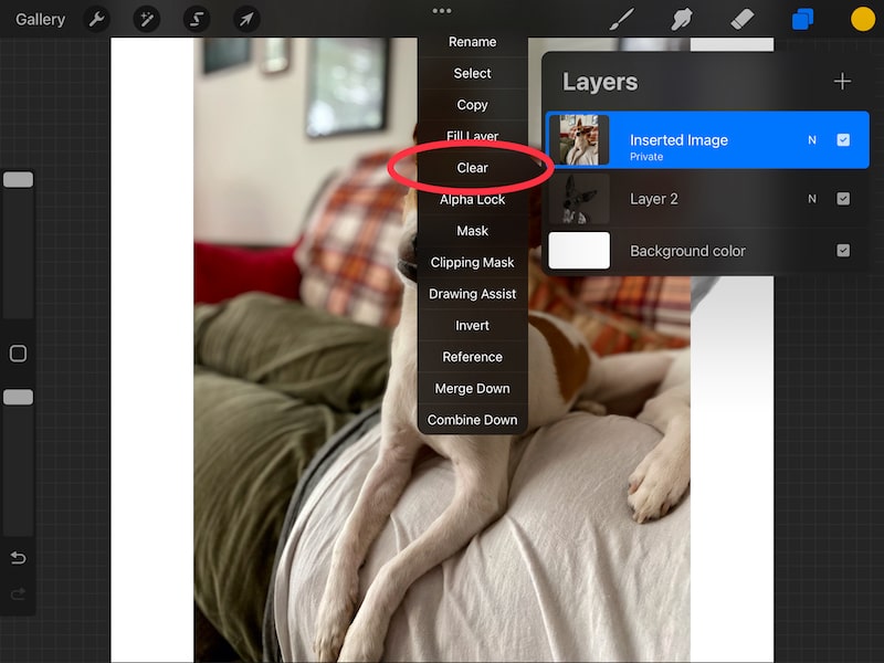 How to Hide Layers and Make Private Layers in Procreate Adventures