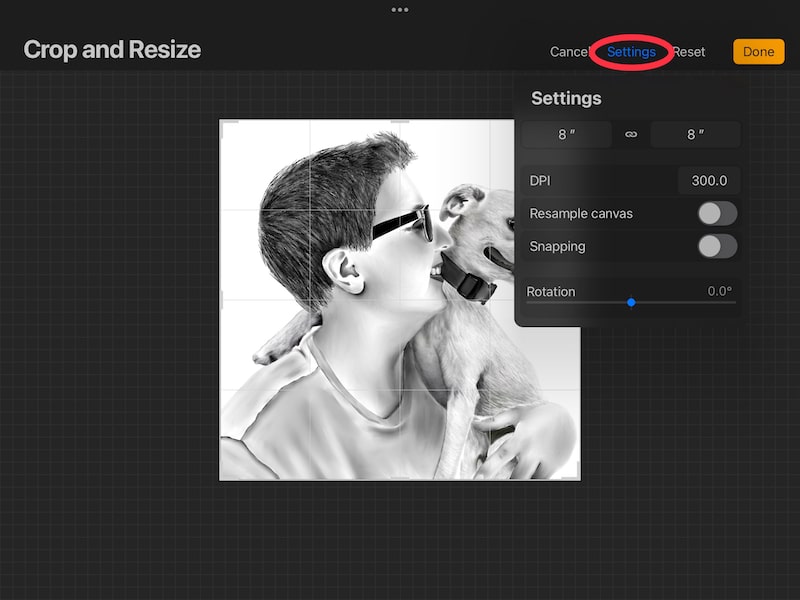 How to Limit Quality Loss When Resizing in Procreate Adventures with Art
