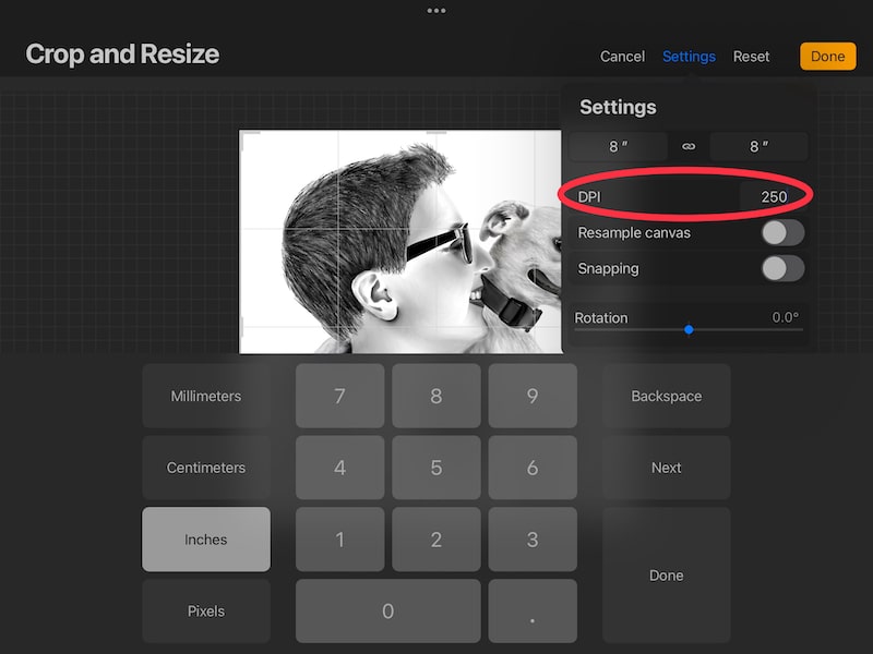 How to Change the DPI of Your Procreate Art Adventures with Art