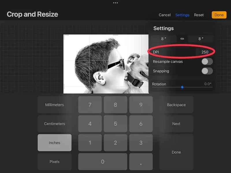How to Change the DPI of Your Procreate Art Adventures with Art