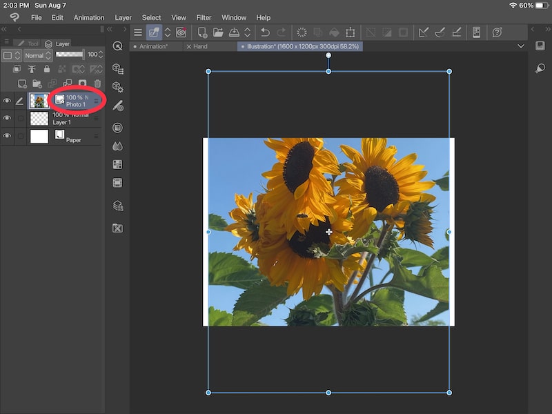 Can’t Draw on a Layer in Clip Studio Paint? Tips to Help Adventures