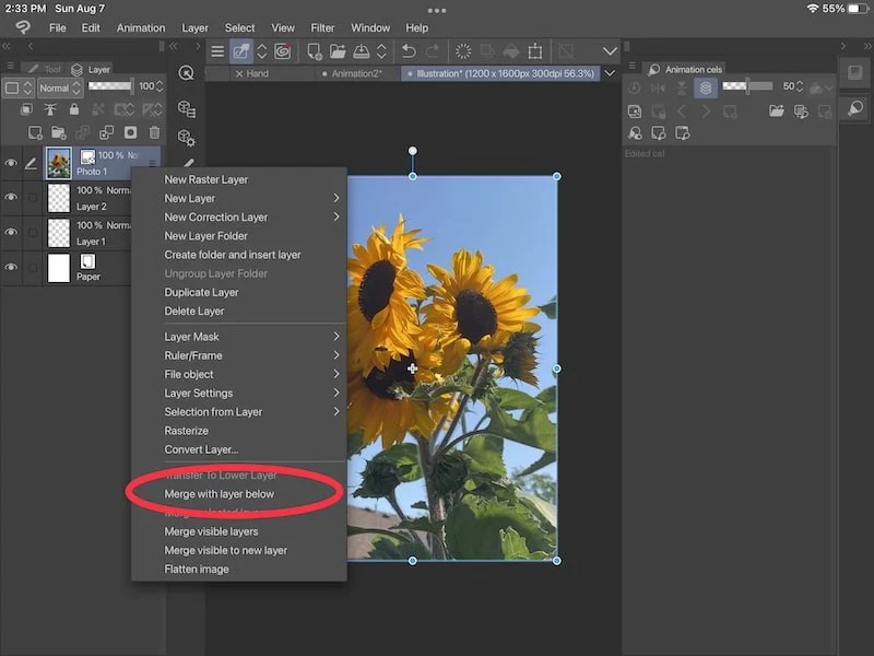 Can’t Draw on a Layer in Clip Studio Paint? Tips to Help Adventures
