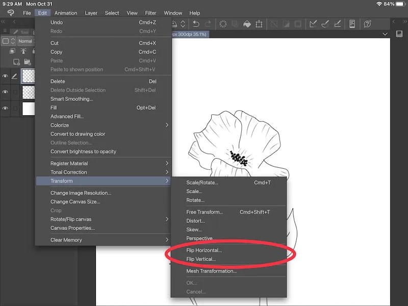 How to Flip a Selection and Layer in Clip Studio Paint Adventures