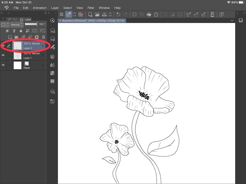 How to Flip a Selection and Layer in Clip Studio Paint Adventures