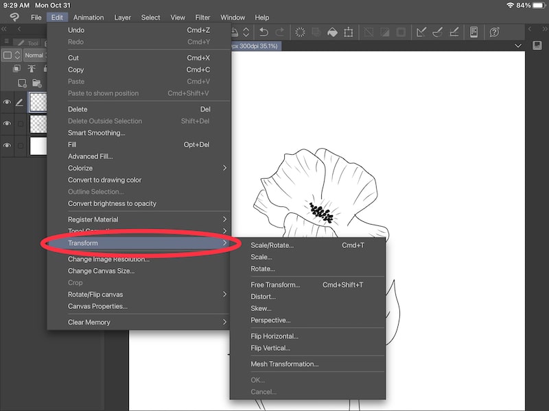 How to Flip a Selection and Layer in Clip Studio Paint Adventures
