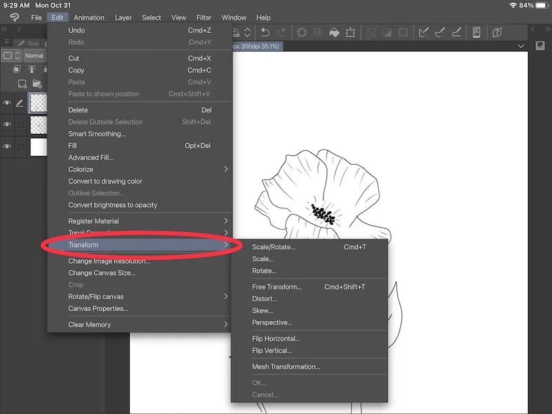 How to Flip a Selection and Layer in Clip Studio Paint Adventures