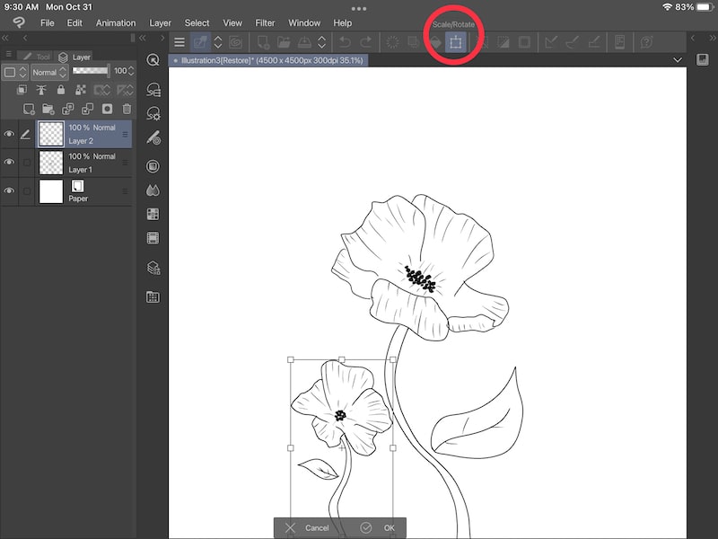How to Flip a Selection and Layer in Clip Studio Paint Adventures