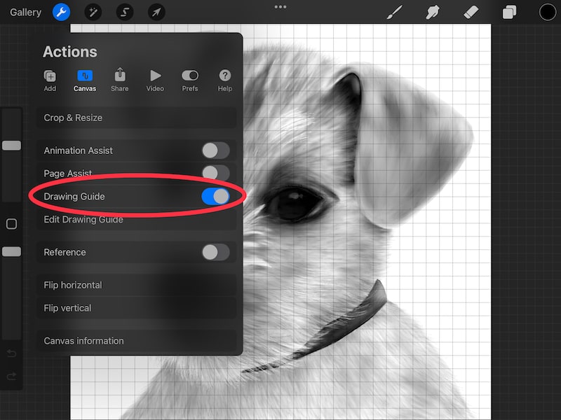 How to Use Procreate’s Drawing Guides and Assisted Drawing Adventures
