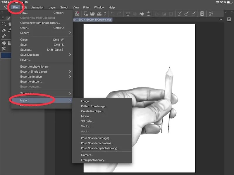 How to Use Reference Photos with Clip Studio Paint Adventures with Art