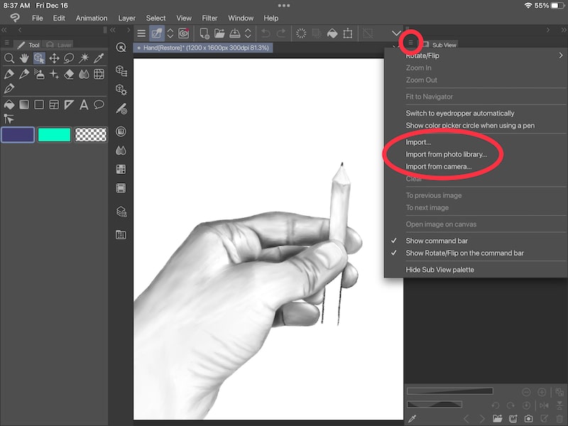 How to Use Reference Photos with Clip Studio Paint Adventures with Art