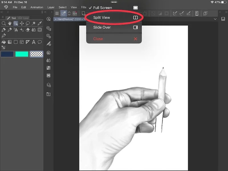 How to Use Reference Photos with Clip Studio Paint Adventures with Art
