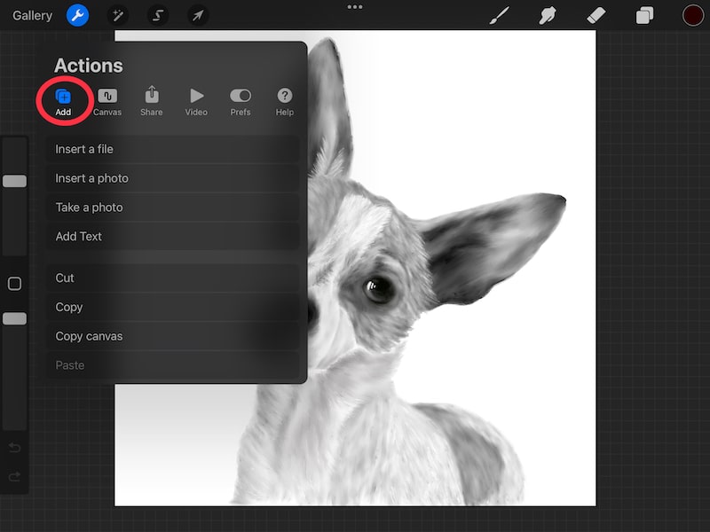 How to Add Reference Photos in Procreate Adventures with Art