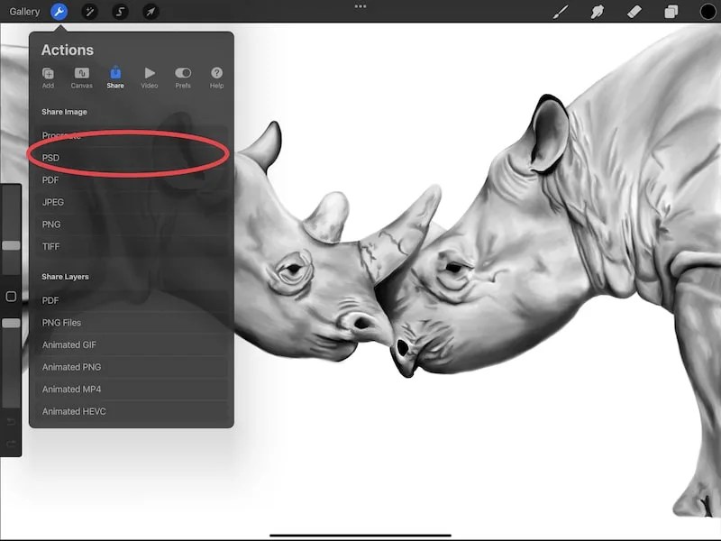 How to Import Procreate Files into Clip Studio Paint Adventures with Art