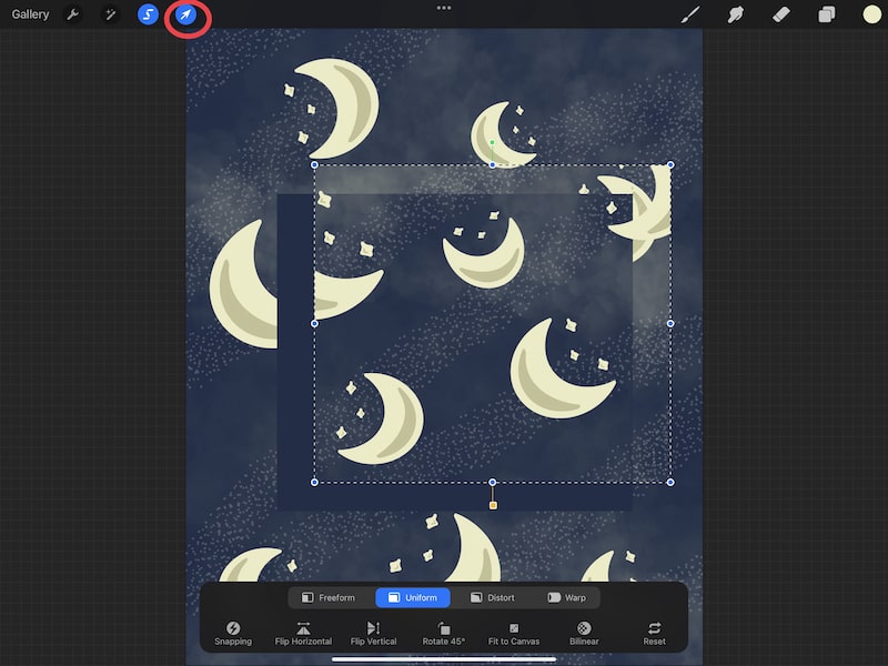 How to Use Procreate’s Selection Tool Ultimate Guide Adventures with Art