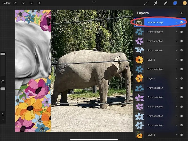 How to Insert a Photo into Procreate Adventures with Art