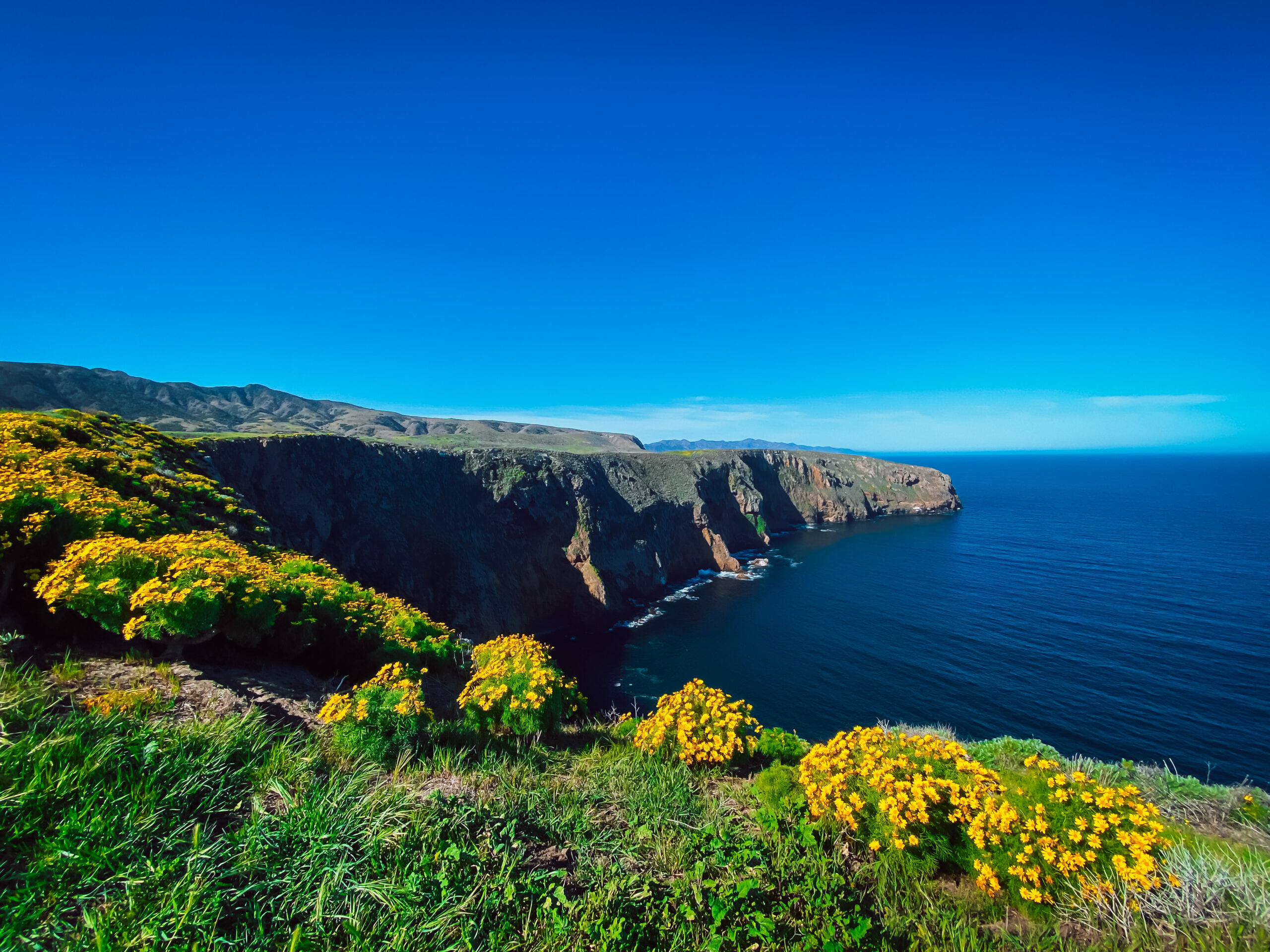 What You Should Know for Your Day Trip to Channel Islands National Park