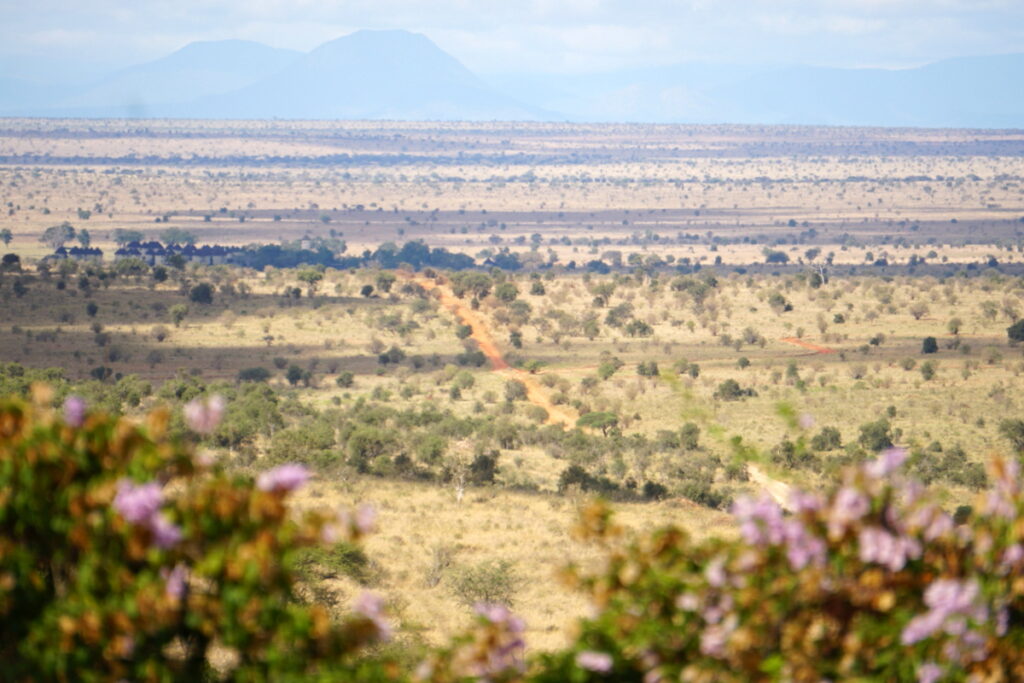 ADVfactory Motorcycle journeyKenya, safari and 250ccm adventure riding