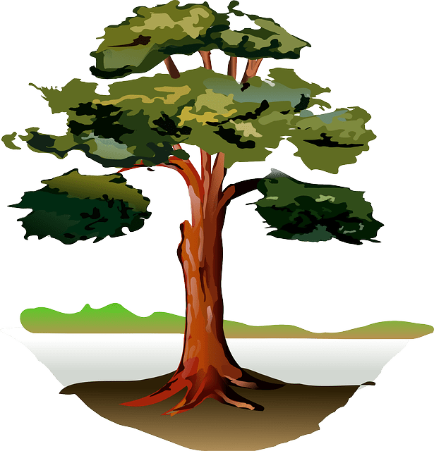 What's the difference between Oak and Ash solid woods? DIY Kitchens