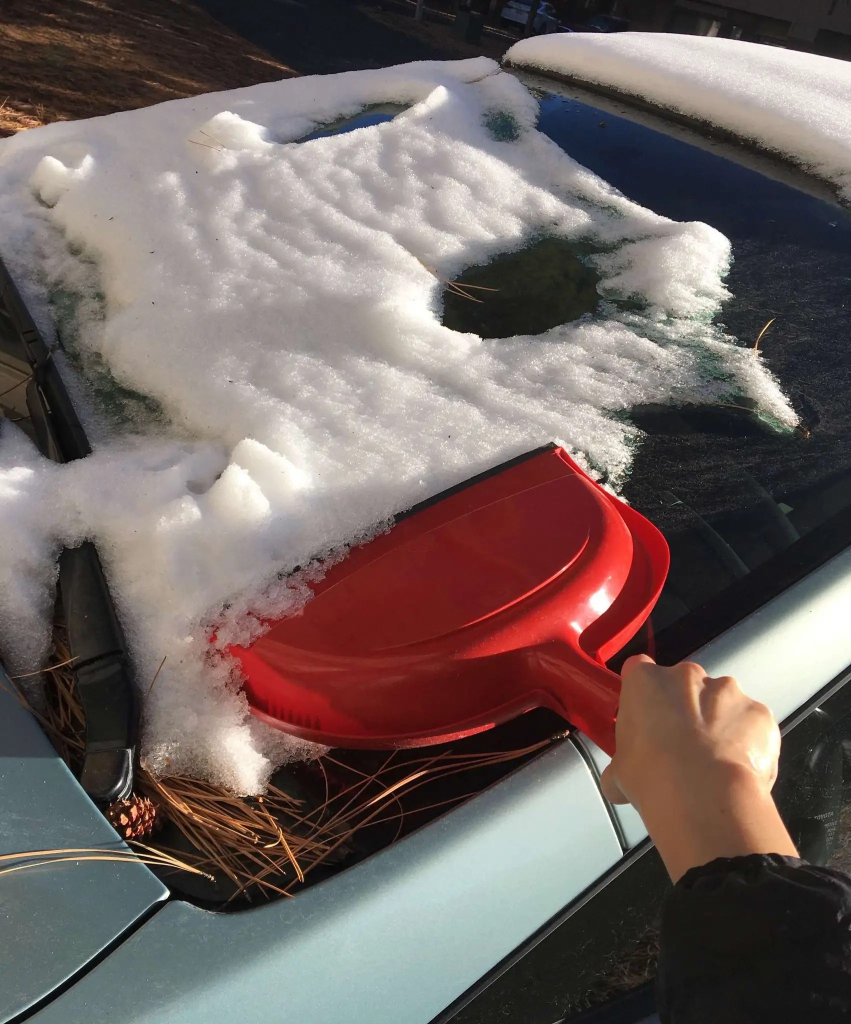 23 Small Bathroom Storage Ideas for Renters Who Want DamageFree Decor