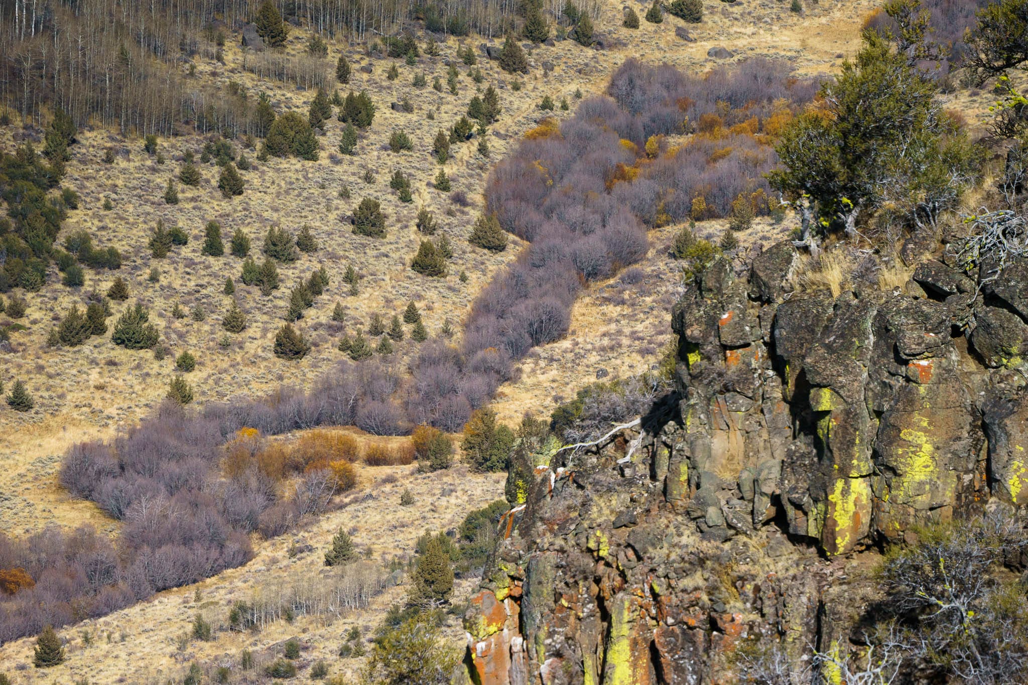 Road Trip Steens Mountain Advinspiration