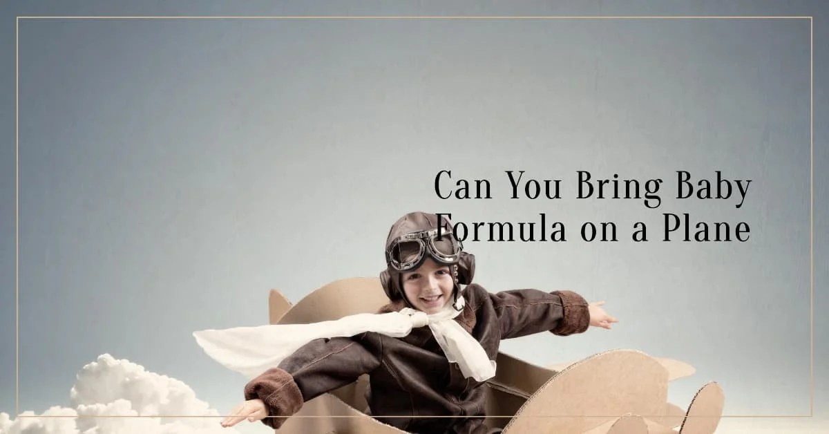 Can You Bring Baby Formula on a Plane