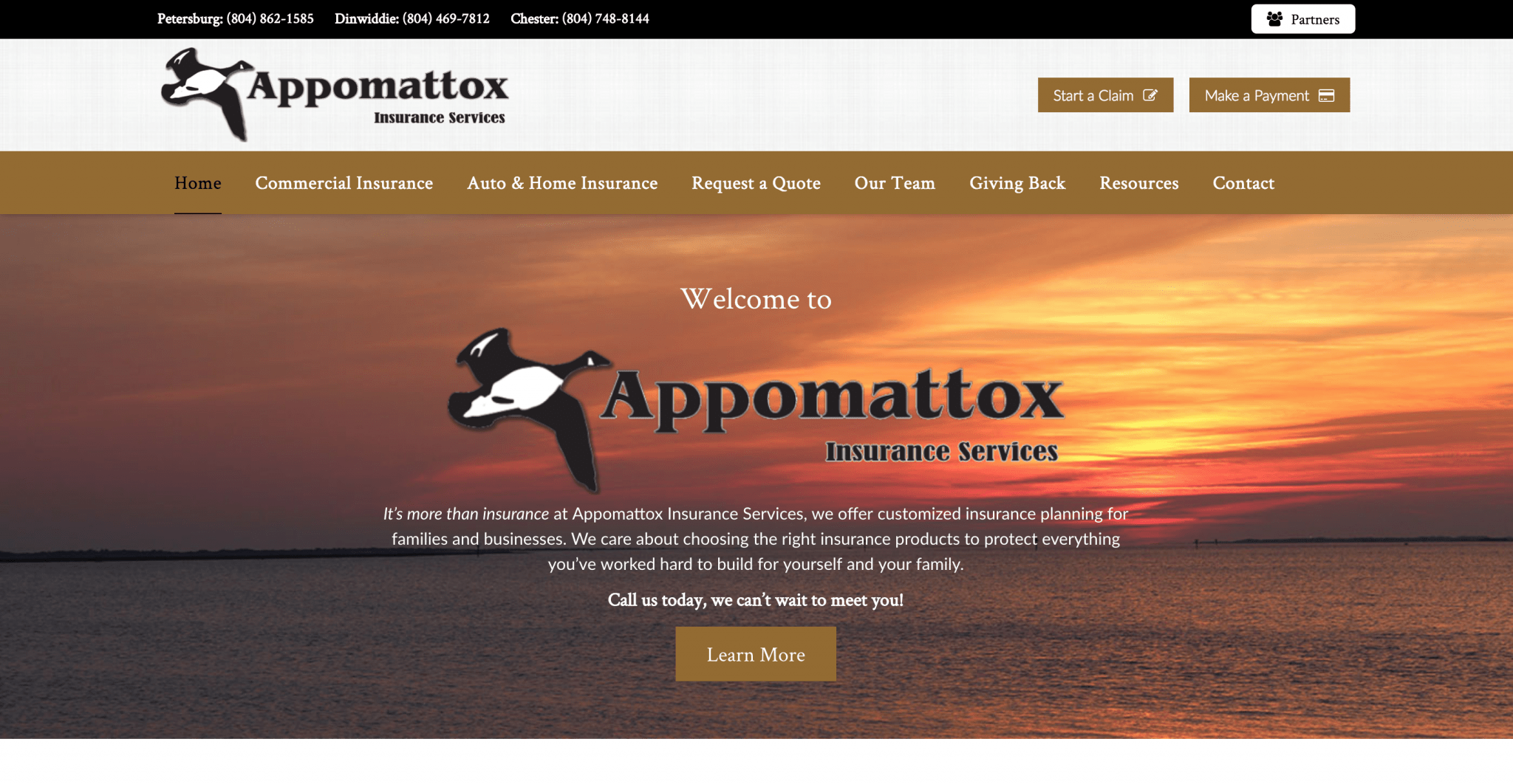 Appomattox Insurance Services ADVISORSITES™ Website Design for
