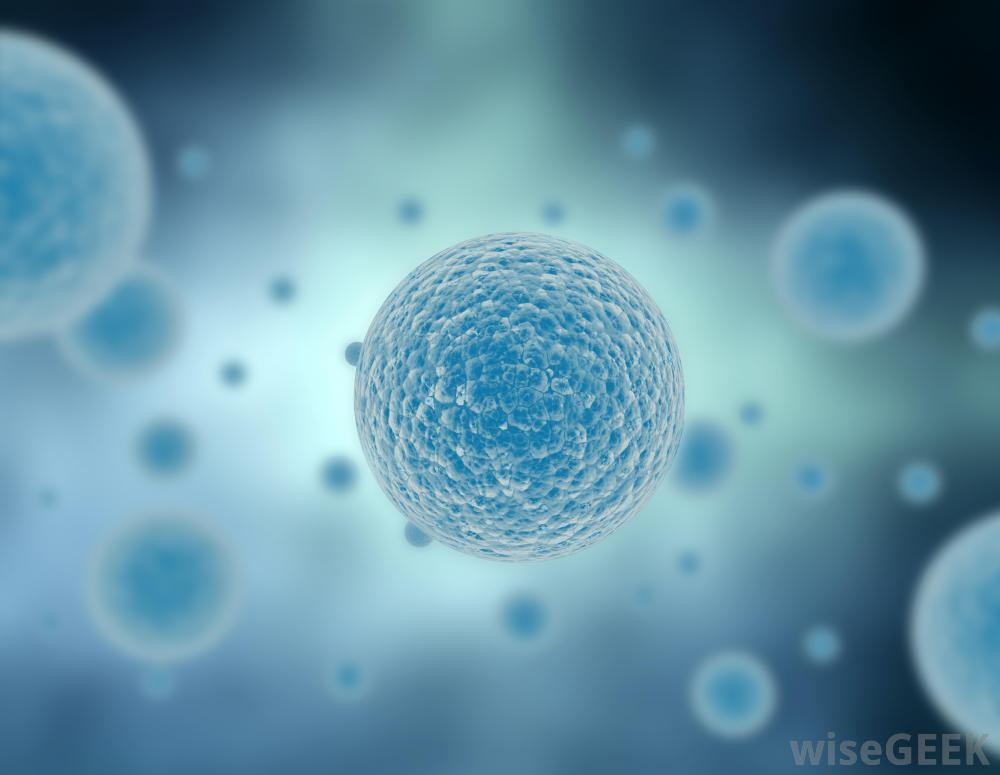 SCIENCE inar The Many Roads to Cell Death // Cells moved with Light