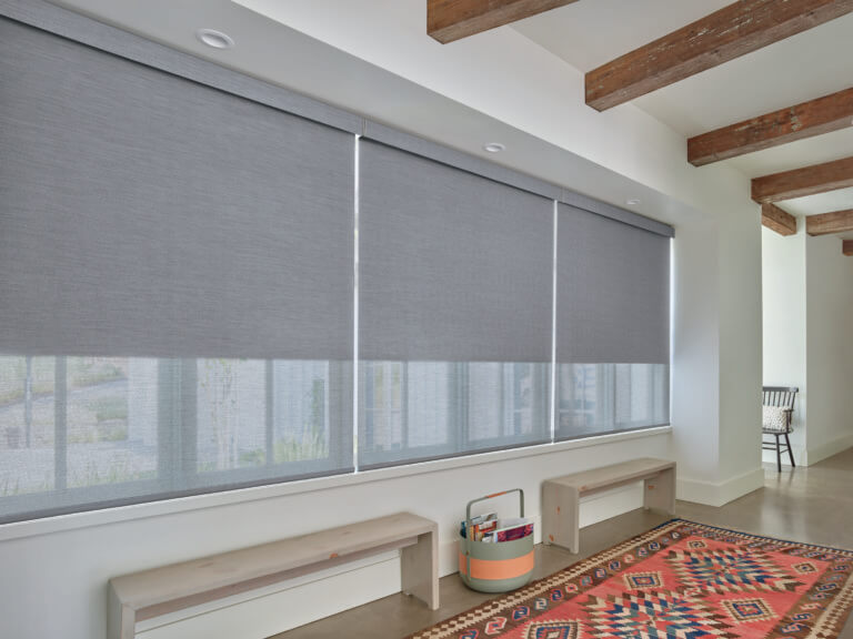 Hunter Douglas Designer Roller Duolite Shade Two Shades in One