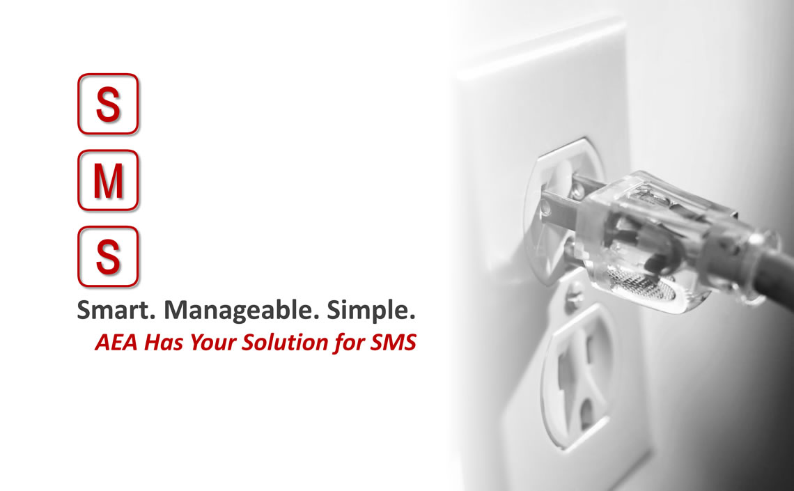 The Aircraft Electronics Association