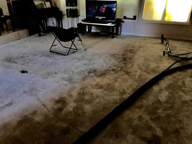 Carpet Cleaning Fresno CA AEA Carpet Cleaning