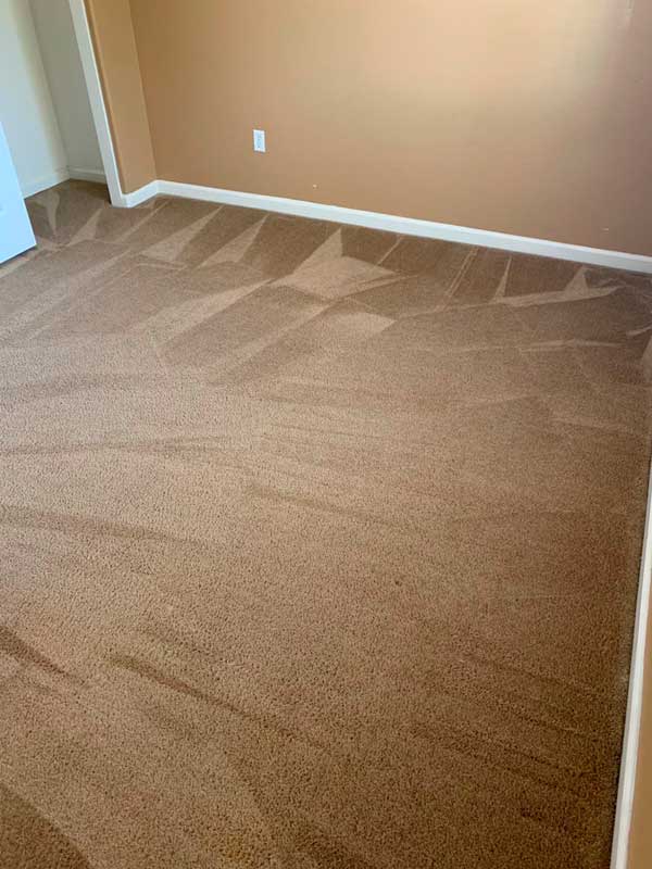 Carpet Cleaner Fresno CA Carpet Cleaning Service Near Fresno AEA