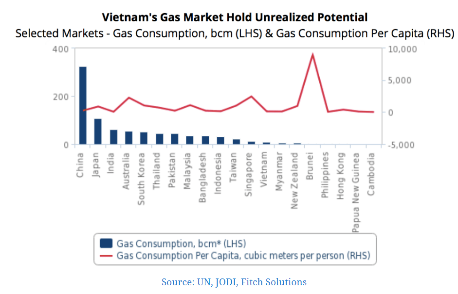 Vietnam gas consumption to double in next 10 years Fitch Solutions