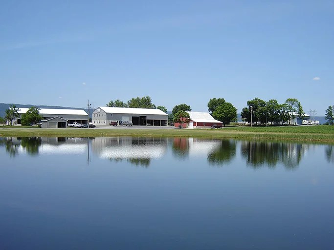 Pond Vegetation Management Services AEC Lakes