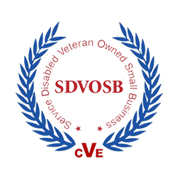 SDVOSB2