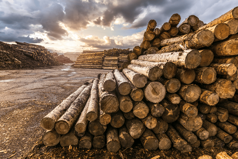 The Lumber Shortage and Controlling Your Building Costs Aegis Market