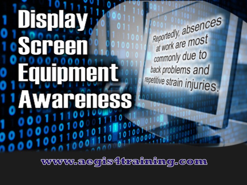 Display Screen Equipment Awareness Training program Aegis 4 Training