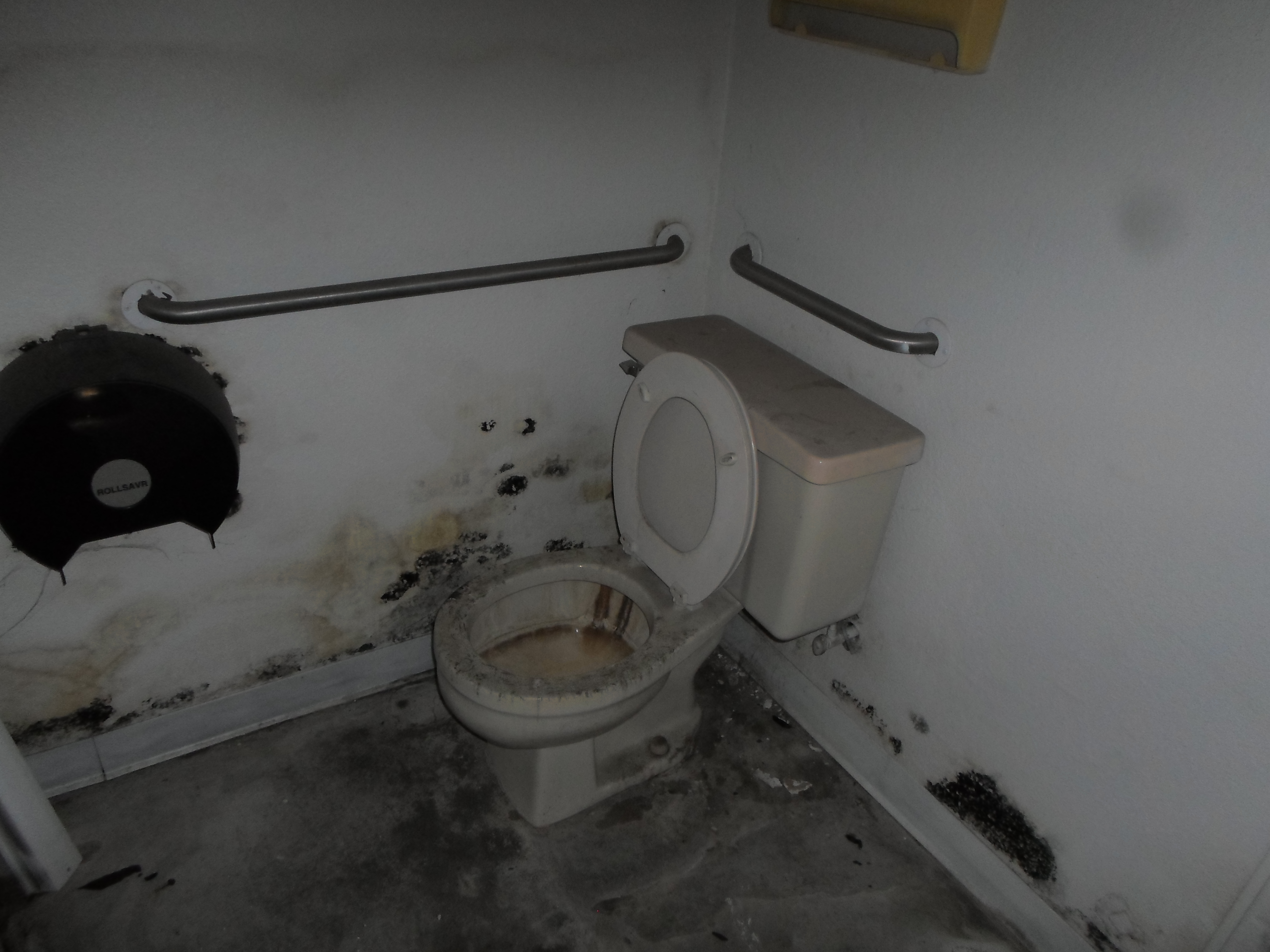 Share 196+ imagen black mold on toilet seat dangerous In.thptnganamst