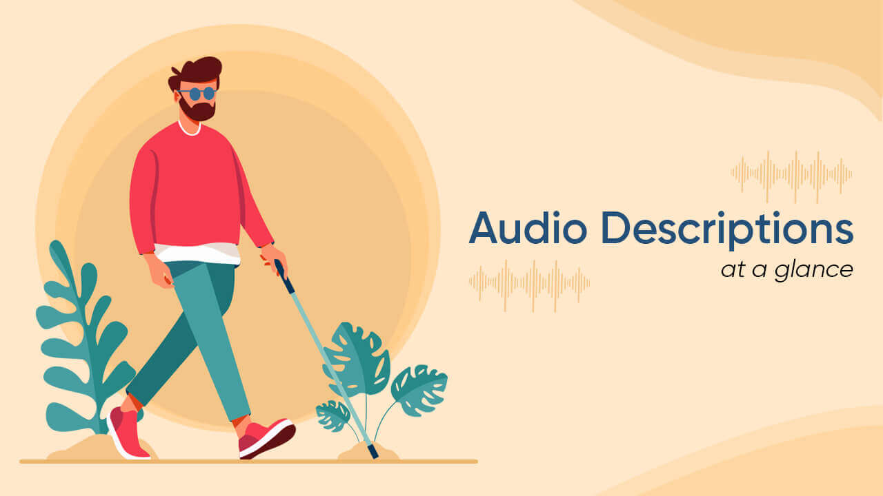 How Audio Descriptions Enhance Accessibility? AEL Data