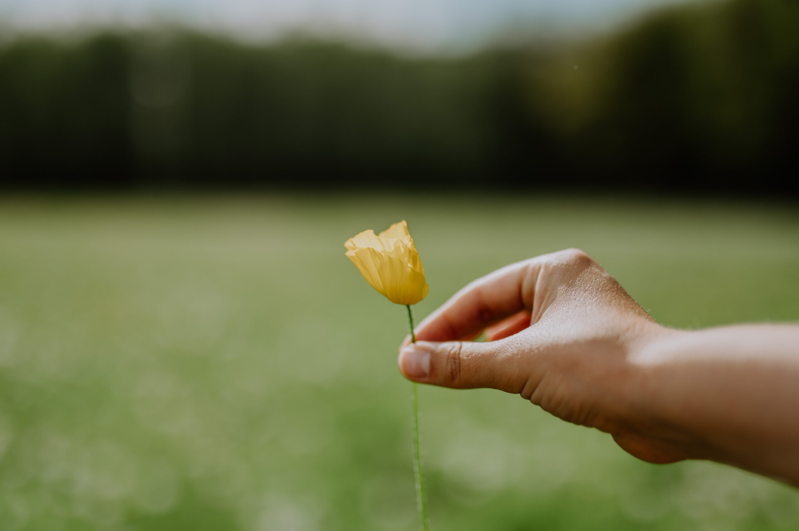 Ich hatte einfach mein Baby vergessen Traumdeutung aempf Magazin