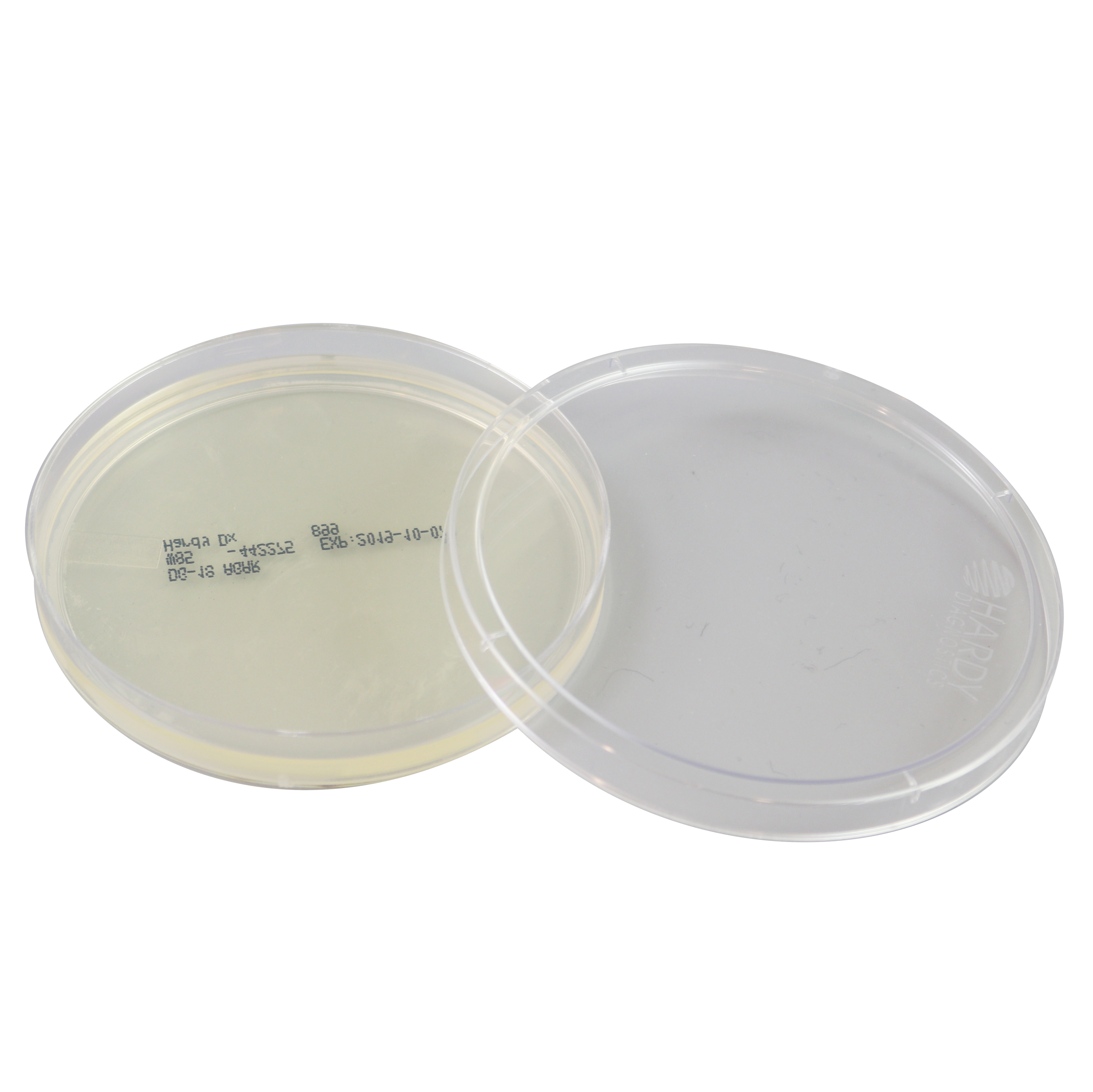 DG18 Agar Plate (Pack of 10) AEMTEK Laboratories