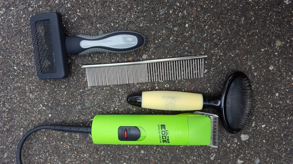 How to Untangle Matted Pet Hair Animal Emergency & Referral Center of