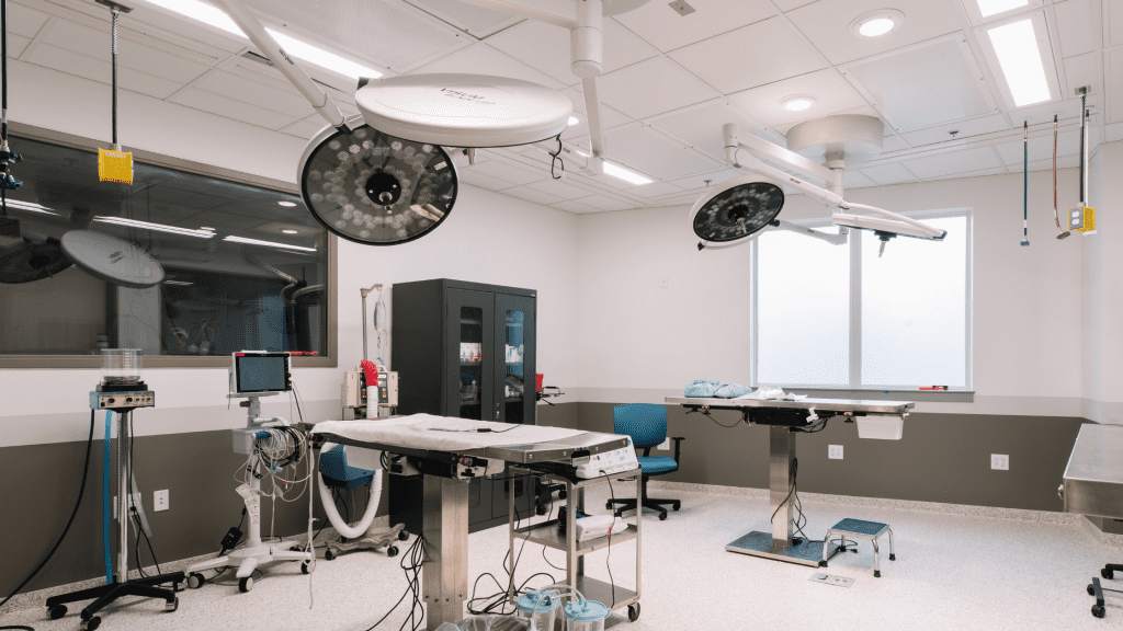 5 Most Common Pet Surgeries at AERC Twin Cities Veterinary Surgery