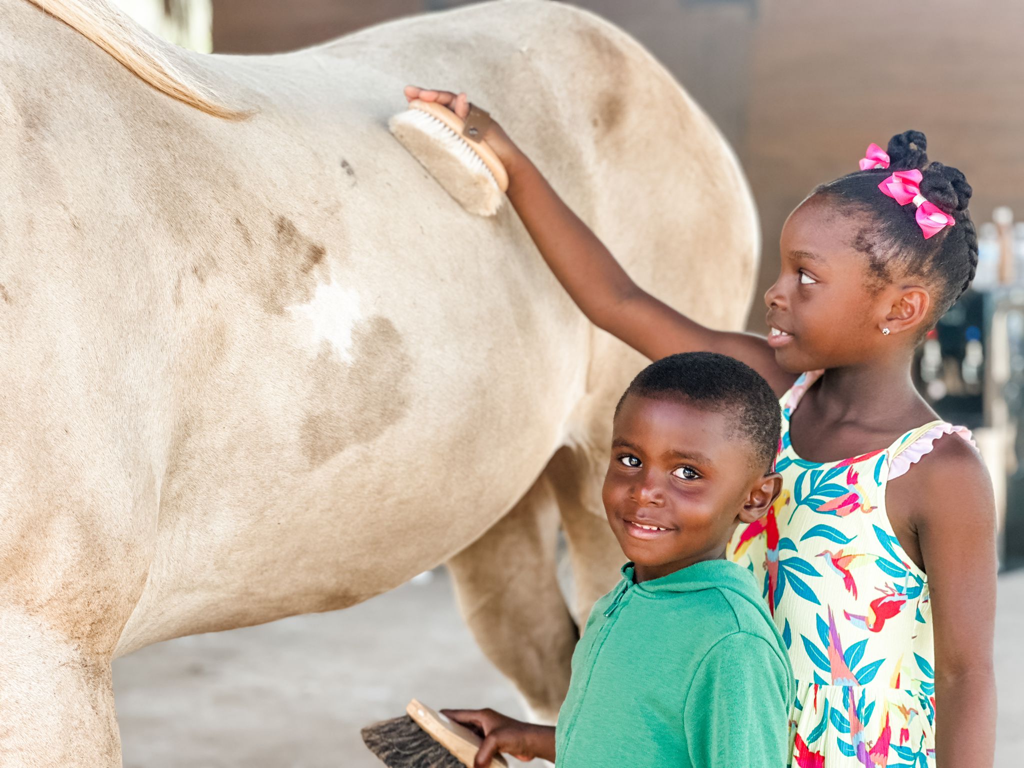 Redemption Ranch The Aerial, BVI