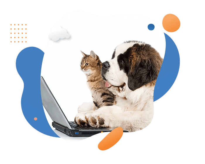 AeroPets Worldwide Contact the best pet travel company