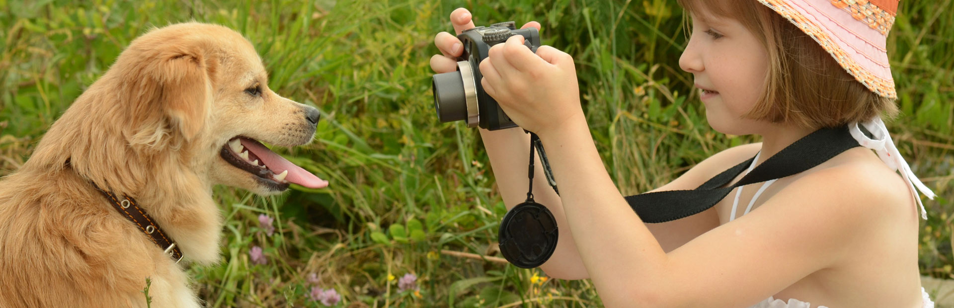 Travel Crate Hire AeropetsAeropets