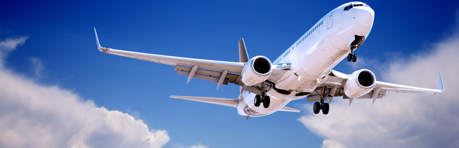 Qantas Pet Travel AeroPets