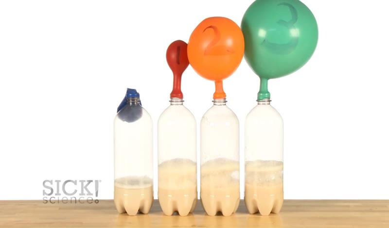 Experiment: Fermentation balloons — Center for Professional Personnel