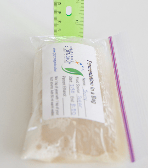 Experiment Fermentation bags — Center for Professional Personnel Development — Department of