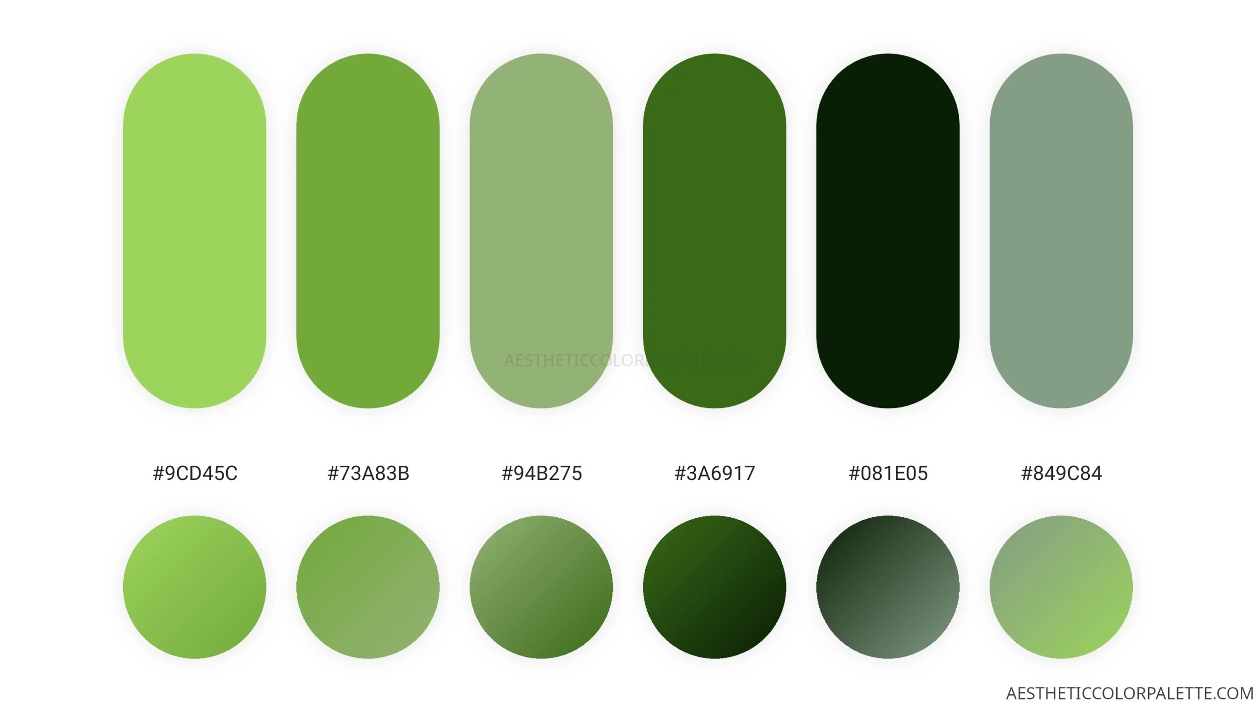 Grass Colors With Codes Aesthetic Color Palette